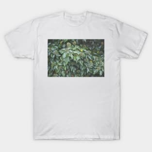 Ivy Seeds T-Shirt